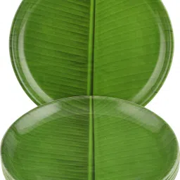Unbreakable & Microwave Safe Round Printed Green Polypropylene Dinner Plates Freezer Safe Set Of 6 Dinner Plate-13