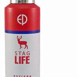 STAG LIFE Deodorant Spray - For Men-24