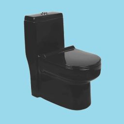 One Piece Water Closet Floor Mounted EWC for Toilet S Trap Distance 215mm Color Western Commode-12