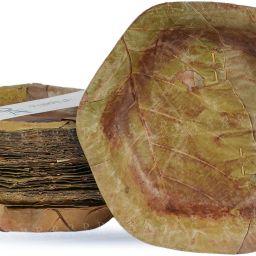 Pack of 50 Crop Residue Eco-friendly Biodegradable Theme Party, Wedding 7" Breakfast Plates B0F93YR5WZ Dinner Set-image-65