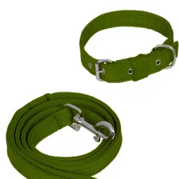 Dog Belt Combo of Green Dog Collar with Dog Leash Specially for Small Breeds Dog Collar & Leash-15