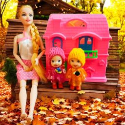 Doll with Doll House Long Hairs for Kids (Multi-Color) 4-6