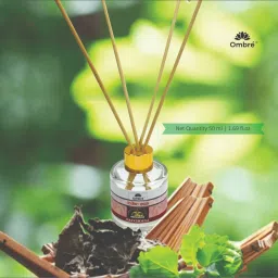 Ombre Glass Patchouli Reed Diffuser Set (50ml) with 4 Natural Reed Sticks. Ideal for Office Cabins, Room, Washrooms, Cubicles, Stores, Reception Area Etc.. Diffuser image 4