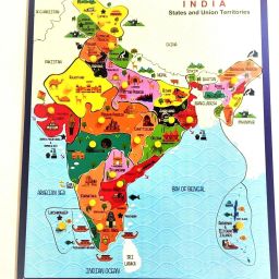 Wooden INDIA Map Puzzle STATES & UNION TERRIRTORIES ,Knobs for Kids Education-image-65