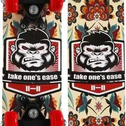 s.v.enterprises PERFECT GIFT Ideals as a gift for boys or girls outdoor play and love sports. 5 inch x 17 inch Skateboard-picture-29