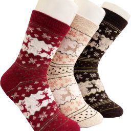 Women Animal Print Mid-Calf/Crew-image-46