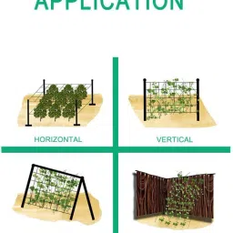 wne jaliwale Plant Climbing net & Plant Trellis Netting Creeper Net - 6feet x 9feet Hiking Net image 4