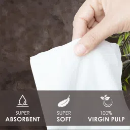 tulips Premium Creme Soft, Extra Thick 3 Ply Pocket Tissue Paper 10 Pulls/ 120 Sheets image 3