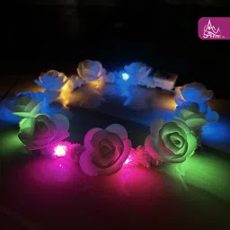 Crown & Tiara-picture-21