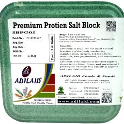 Protein Block Pet Health Supplements-51