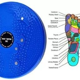 New Heavy Quality Tummy Twister A Dynamic Body Balancing Disc_aa Ab Exerciser-image-16