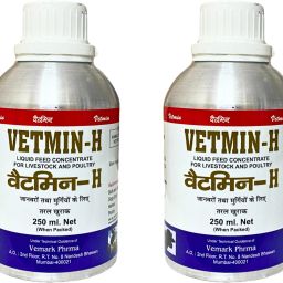 Vitomin-H 250ML pack of 2 for Cow,Buffale Liquid Feed Concentrate 0.25 kg (2x0.12 kg) Wet Adult Cow Food-image-32