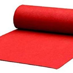 Red Nylon Carpet-image-76