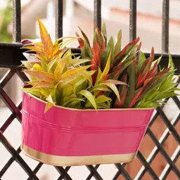 Pink Metal (Set of 4) Railing Planter by Gold Dust-picture-8