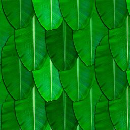 248 cm (8 ft) Polyester Semi Transparent Window Curtain Single Curtain-image-43