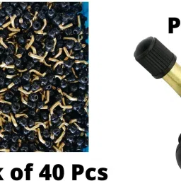 Brass Tyre Valve Cap for Bike, Car-image-59