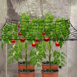 grenfel Plant Climbing Net 14.5Ft x 6Ft Black Creeper Support Gardening Netting Hiking Net image 2