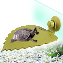 Plastic Training Aid For Turtle-image-98