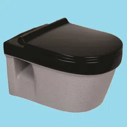 Designer EWC Wall Hung Rimless Commode Western Toilet Water Closet Western Commode-image-40