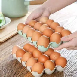Egg holder Egg Holder-image-34