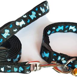 Dog & Cat Collar & Leash-image-9