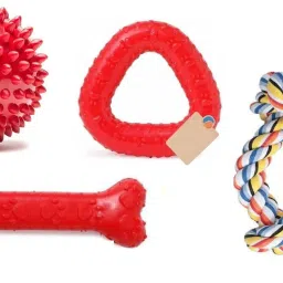 Best Quality Pet Rubber Chew Toys Ball + Rubber Bone + Ring Ball + Rubber ball + Trio Chew (Combo of 5) Pet Playing ,Exercise Rubber Fetch Toy Color May Vary. Rubber Chew Toy, Rubber Toy, Ball, Bone, Soft Toy, Fetch Toy For Hamster-image-5