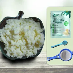 LIVE BIG Sized Milk Kefir Grains Lifetime Re-usable and Multiplying, Contains 55-60 Live & Active Strains Granules-image-4