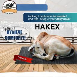 COW MAT-Waterproof Rubber-Black32 (Mat 8*5 Feet) BPA Free For Horse- Cow, Dog, Hamster, Guinea Pig, Miniature Pig Pet Mat-image-84
