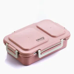 Stainless Steel Airtight Leak-Proof for Office, School 2 Containers Lunch Box-45