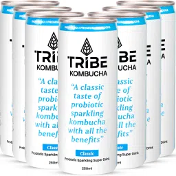 Kombucha Antioxidant Naturally Sparkling Probiotic Drink |Gut Friendly|Classic Classic Drink-22