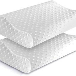 Memory Foam Solid Orthopaedic Pillow Pack of 2-19