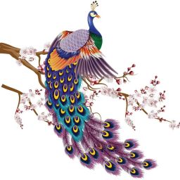 59 cm Vibrant Peacock Vinyl Wall Sicker Removable Sticker-image-26