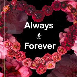 Love Greeting Card, Anniversary Card Greeting Card-17