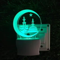 1 LEDs 6 m Multicolor Color Changing Welcome Rice Lights-33