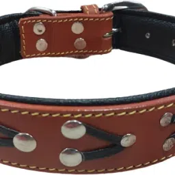 Dog belts genuine leather collar ten color medium size adjustable Dog Everyday Collar-picture-15