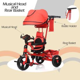 FR-BULLET Tricycle-10