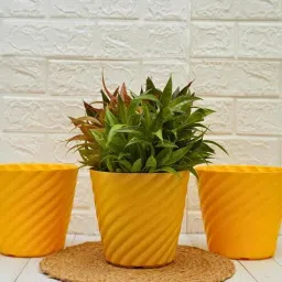 gold dust Yellow Plastic (Set of 3) Desk Pots-picture-33