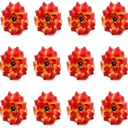 Artificial Eden Rose Flowers for Home Decoration and Craft (Shaded Orange, 12 Pieces, 4 cm) Orange Rose Artificial Flower-16