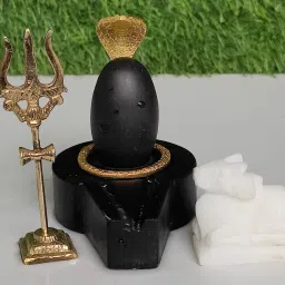 Rare & Unique Energy Narmada Shivaling / Narmadeshwar Shiva Lingam / Decorative Showpiece - 2 cm-28