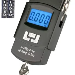 Glancing Digital Portable Weighing Scale- 50kg Portable Hanging Luggage Weight Machine Weighing Scale,50 Kg Weighing Scale with big size electric kata with metal hook, Portable Digital Luggage Scale,Portable Digital Luggage Scale with Metal Hook,hanging scale 50kg Weighing Scale - with Batteries L/55/UG Luggage Weighing Scale-96