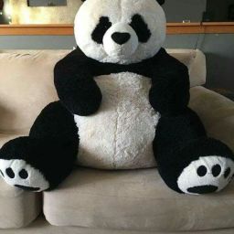 5 feet teddy bear big panda soft toy gift - 140 inch-12