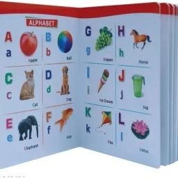 Kids All in one hard book for Pre School child Hindi And English Language-22