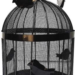 BULBUL BASKET black Iron Fruit & Vegetable Basket-image-42