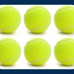 New-Tennis ball _37Pack of 6 Tennis Ball-image-79