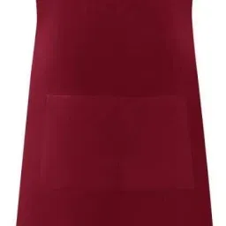 PVC Home Use Apron - Free Size-picture-0