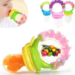 4 in 1 Fruit and Food Feeder Nibbler Nipple Teether Soother Pacifier Rattle Teether and Feeder-29