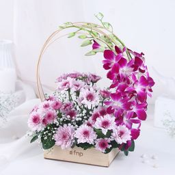fnp Fresh Purple Orchids, Daisy Bouquets-picture-40