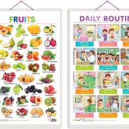 Pack of 2 Fruits and DAILY ROUTINE Educational charts with Lamination-image-21