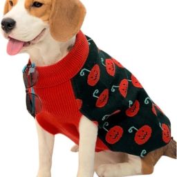 Sweater for Dog, Cat-image-23