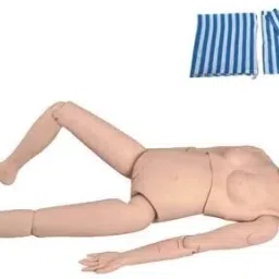 Nursing Manikin Anatomical Human Model Education-21